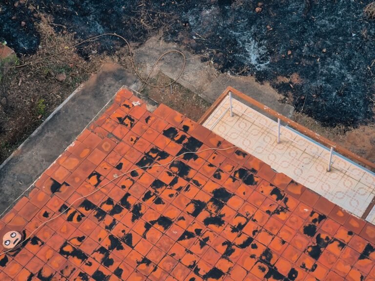 signs of roof damage