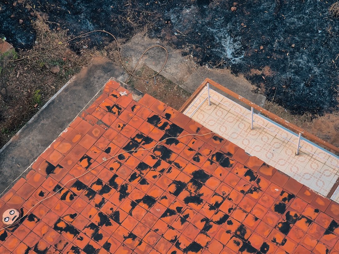 signs of roof damage