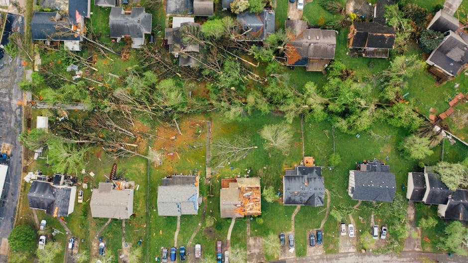 storm damage inspection roofer Fredericksburg