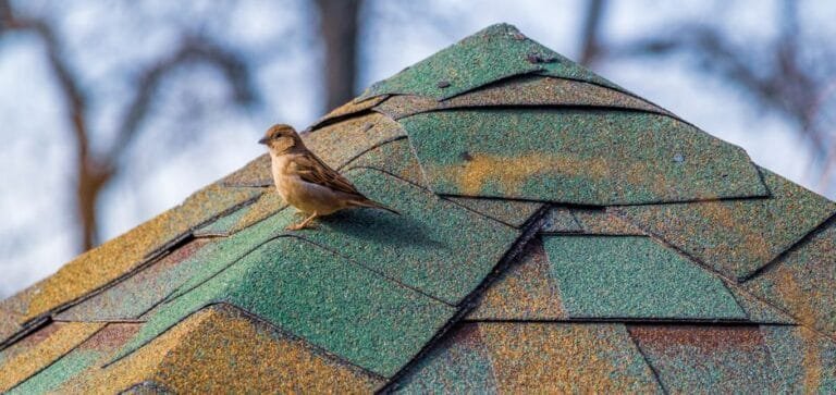 roof shingle ridge cap on a high-profile residential roof peak
