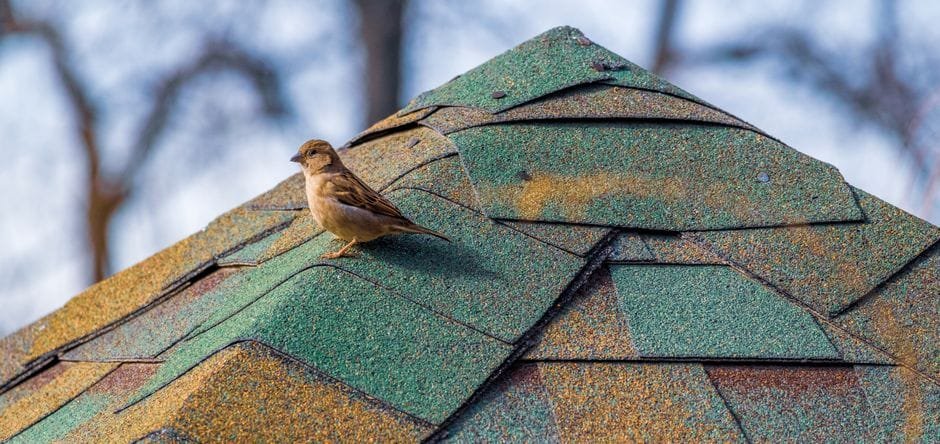 roof shingle ridge cap on a high-profile residential roof peak